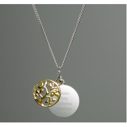 Personalised Sterling Silver & 9ct Gold Family Tree Of Life Necklace